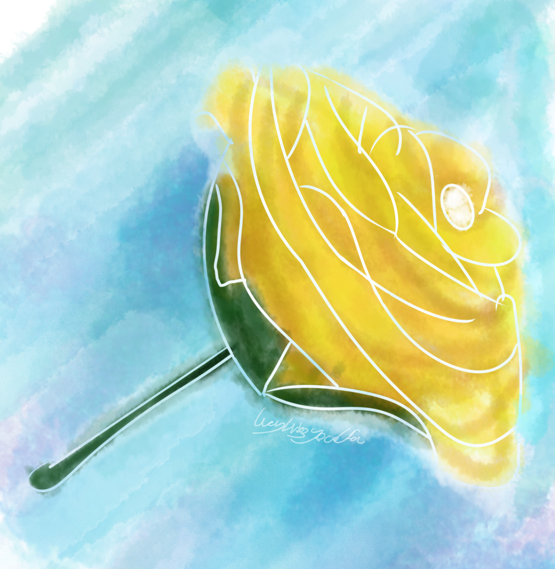 watercolour-style digital art of a yellow rose on a sky blue background. The shape of the petals is defined by lines that erase the foreground.